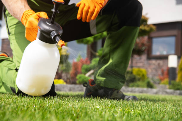 Trusted Newberg, OR Pest Control Experts