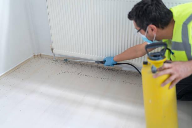 Best Flea Control Services  in Newberg, OR