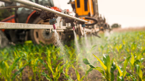 Best Pest Control for Homes  in Newberg, OR